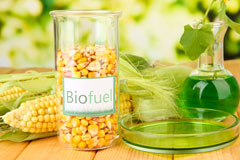 Minster biofuel availability